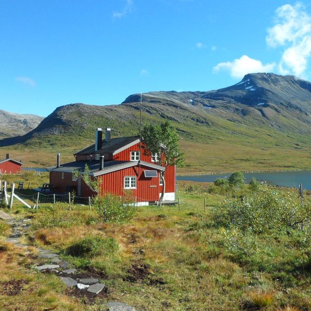 Måsvassbu. Foto: Jon Helge Indbjør